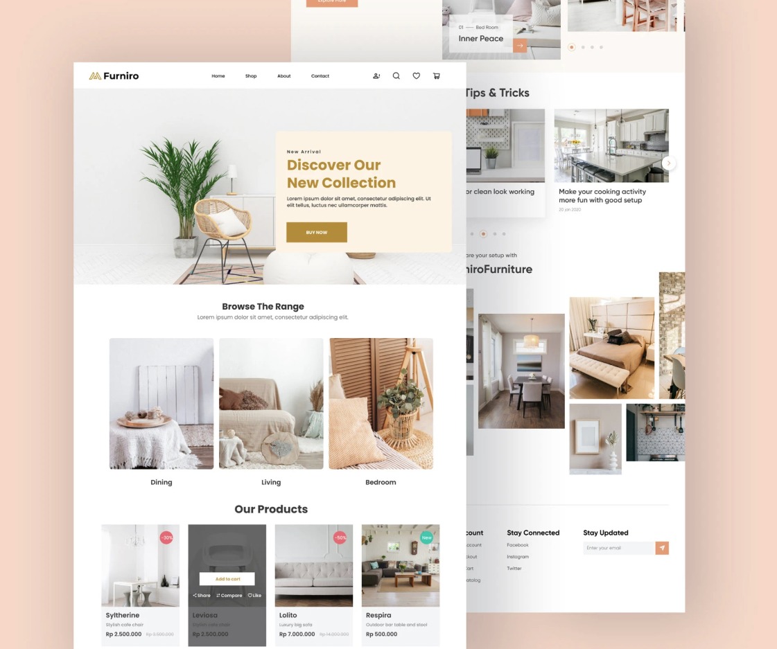Web Designs 5